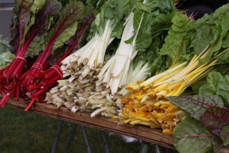 Return of Yorktown Market Days