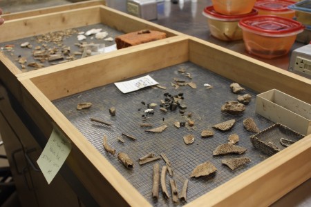 Boxes of sorted artifacts, including bones and metal fragments, found in the occupation layer of the cellar. (Elizabeth Hornsby/WYDaily)