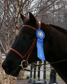 Blackie