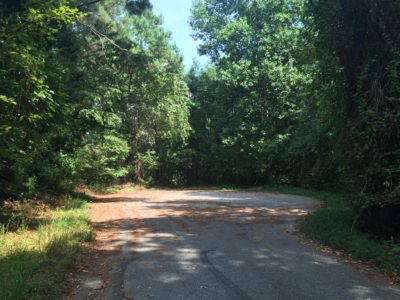 Cokes Lane in James City County (Adrienne Marie Mayfield)