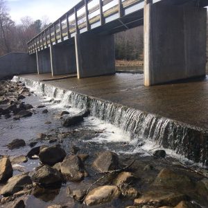Cranston Mill Pond's spillway allows an average of 8 million gallons of water to pass into Yarmout Creek and the Chickahominy River. (Courtesy Cranston Mill Pond, LLC.)