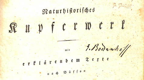 Title page of Ferdinand Seidel’s "Natural History in copper plates, with explanatory text following Buffon." (Courtesy of W&M Libraries)