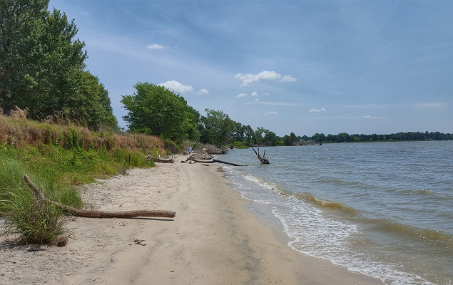 Seven miles of shoreline are featured at Belle Isle State Park. Photo courtesy Virginia State Parks