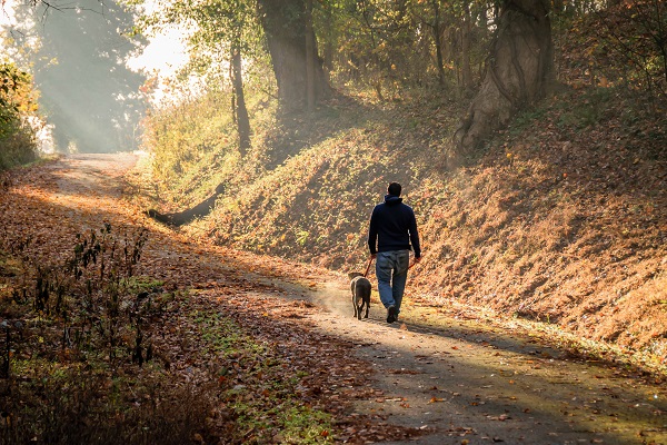 There are many hiking trails at Chippokes Plantation State Park. Photo courtesy Virginia State Parks