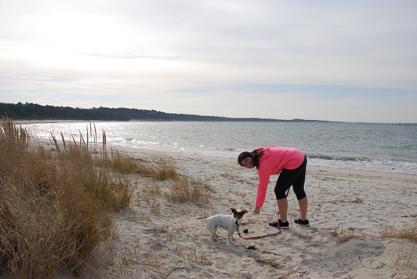 There is a open beach that allows dogs and a designated swimming beach at Kiptopeke State Park. Photo courtesy Virginia State Parks