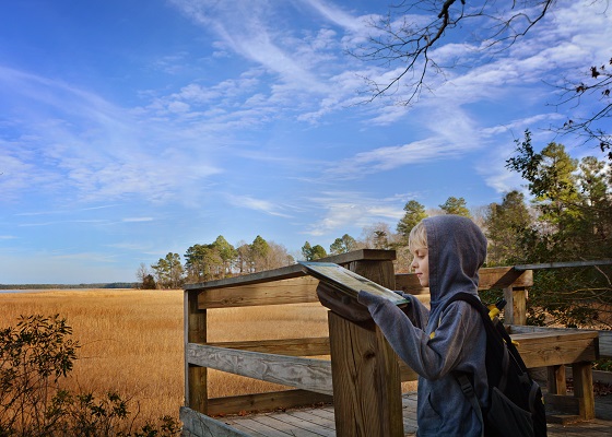 Taskinas Creek overlook at York River State Park. Photo courtesy Virginia State Parks