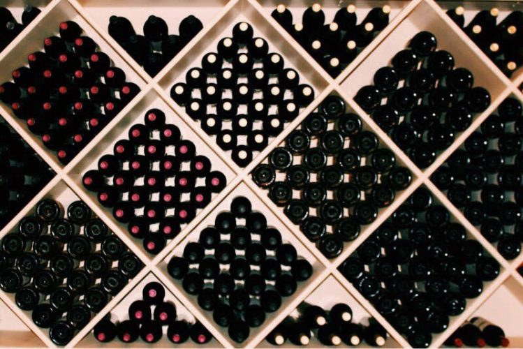 To produce the best flavor for the wine, Meyer researches aggressive leaf-cleaning programs and new technology. Meyer also works with the organic matter in the soil, and adds lime when necessary to produce a better product. (Alexa Doiron/WYDaily)