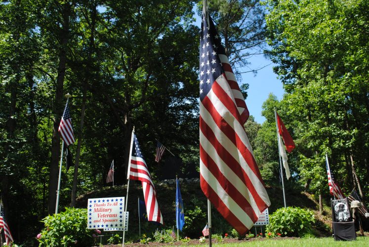 The Fourth of July is a day for celebrating America's independence, but for each American the holiday means something different. (WYDaily/Alexa Doiron)