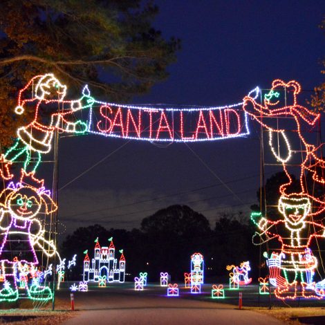 Newport News Park Christmas Lights 2022 Snow In Forecast For Newport News Park's Celebration In Lights |  Williamsburg Yorktown Daily