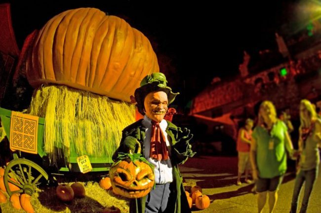 Busch Gardens Halloween Theme 2022