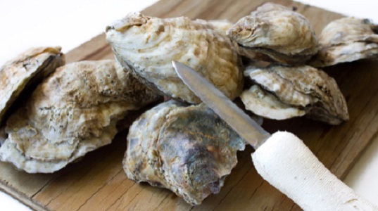 Eastern oysters are a rapidly growing component of Virginia’s shellfish aquaculture industry. (S. Chavez/VASG/VIMS/WYDaily)