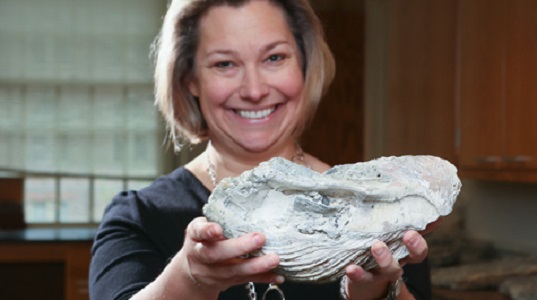Rowan Lockwood displays one of the 900 oyster fossils studied in a palaeobiological analysis of Chesapeake Bay oysters. (Stephen Salpukas/VIMS/WYDaily)