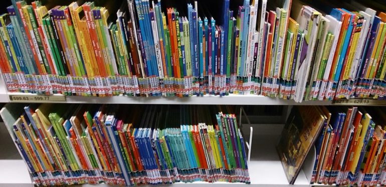 During Tuesday's work session, the WJCC school board heard presentations on budget items, including the purchase of reading kits for elementary school students. (WYDaily/Wikimedia Commons)