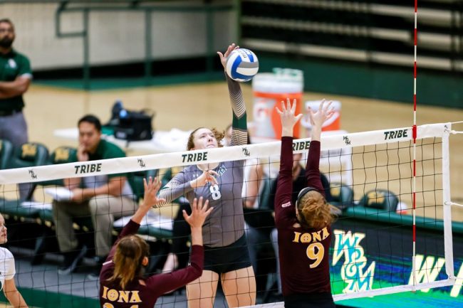 Several faculty members plan to present three motions at the Faculty Assembly meeting on Tuesday in reference to the seven varsity sports teams which were cut in September. (WYDaily/ Courtesy of Tribe Athletics)