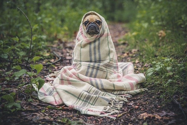 It's going to be a cold and windy Christmas this year. (WYDaily/Courtesy of Pixabay)