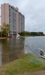 Seawater floods the Hague in Norfolk during the “King Tide” in October 2019. (VIMS/WYD)