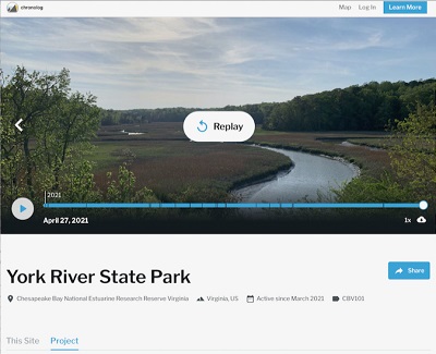 The time-lapse window for the Chronolog at Taskinas Creek in York River State Park. (WYDaily/Courtesy of VIMS)